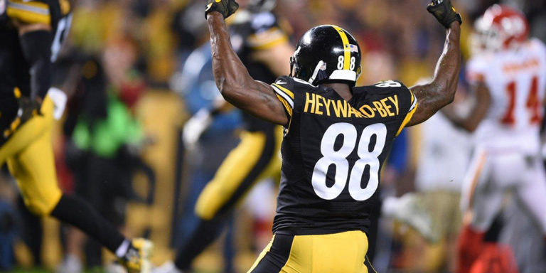 Pittsburgh Steelers WR Darrius Heyward-Bey