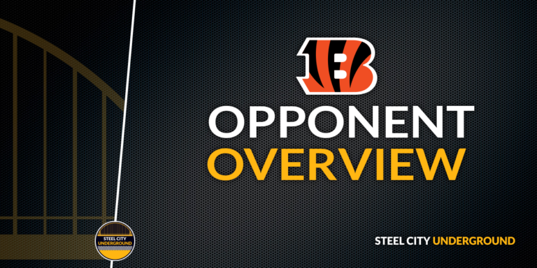 Bengals Opponent Overview