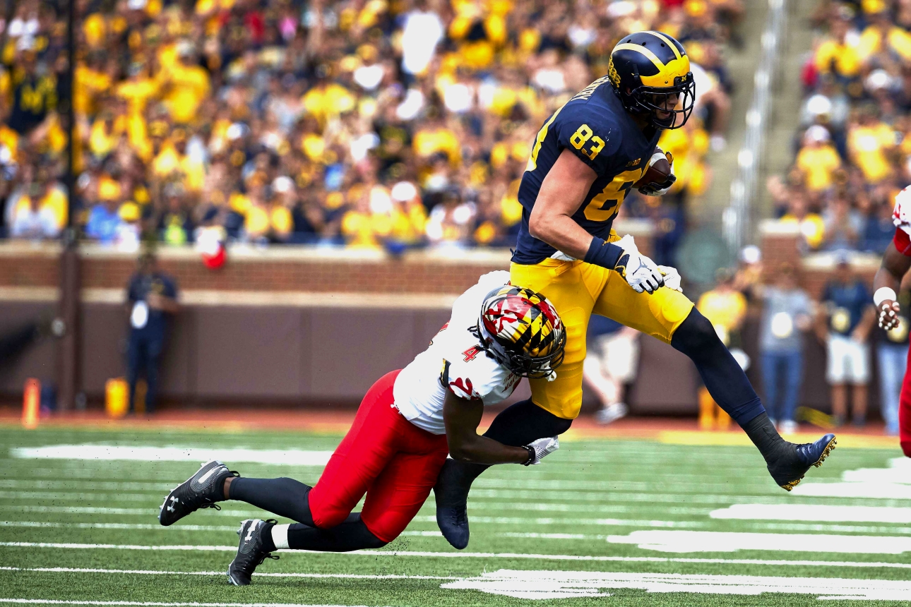 Zach Gentry Stats, News and Video - TE