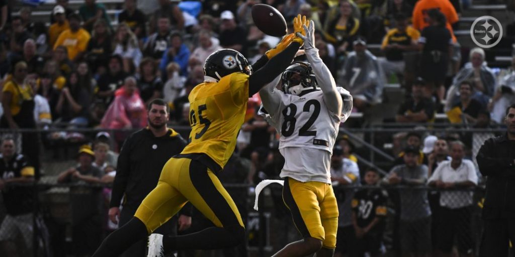 Pittsburgh Steelers WR Diontae Spencer