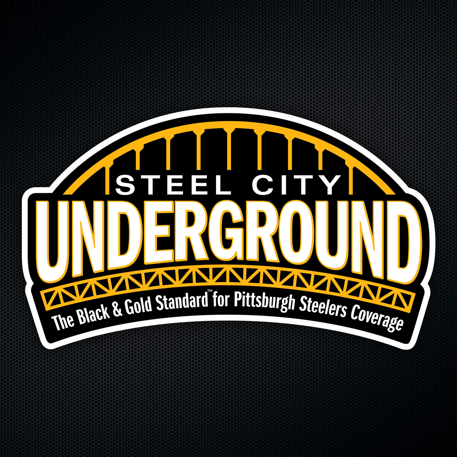 ESPN ranks the Steelers 2023 roster worst among AFC North teams - Steel  City Underground