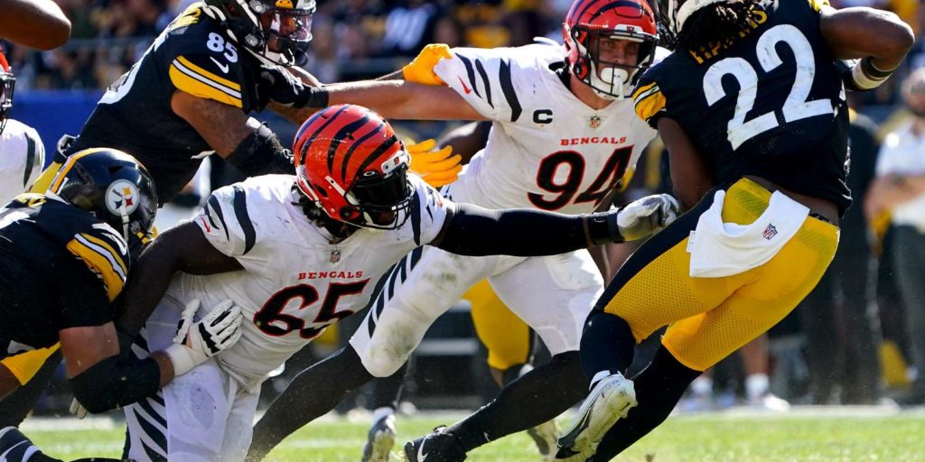 Pittsburgh Steelers DT Larry Ogunjobi