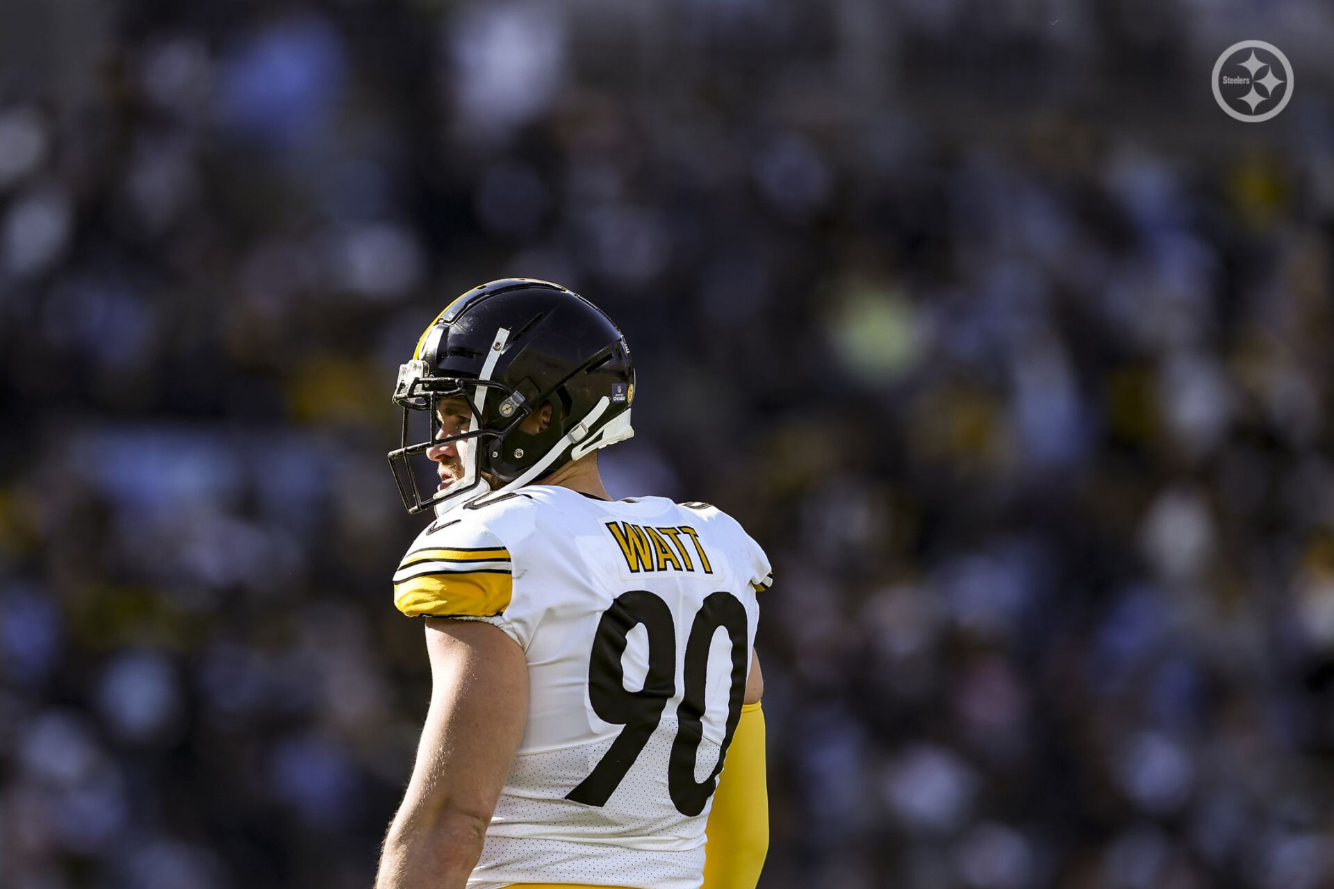 Steelers' Heyward, Fitzpatrick set for NFL's Pro Bowl Games - Steel City  Underground