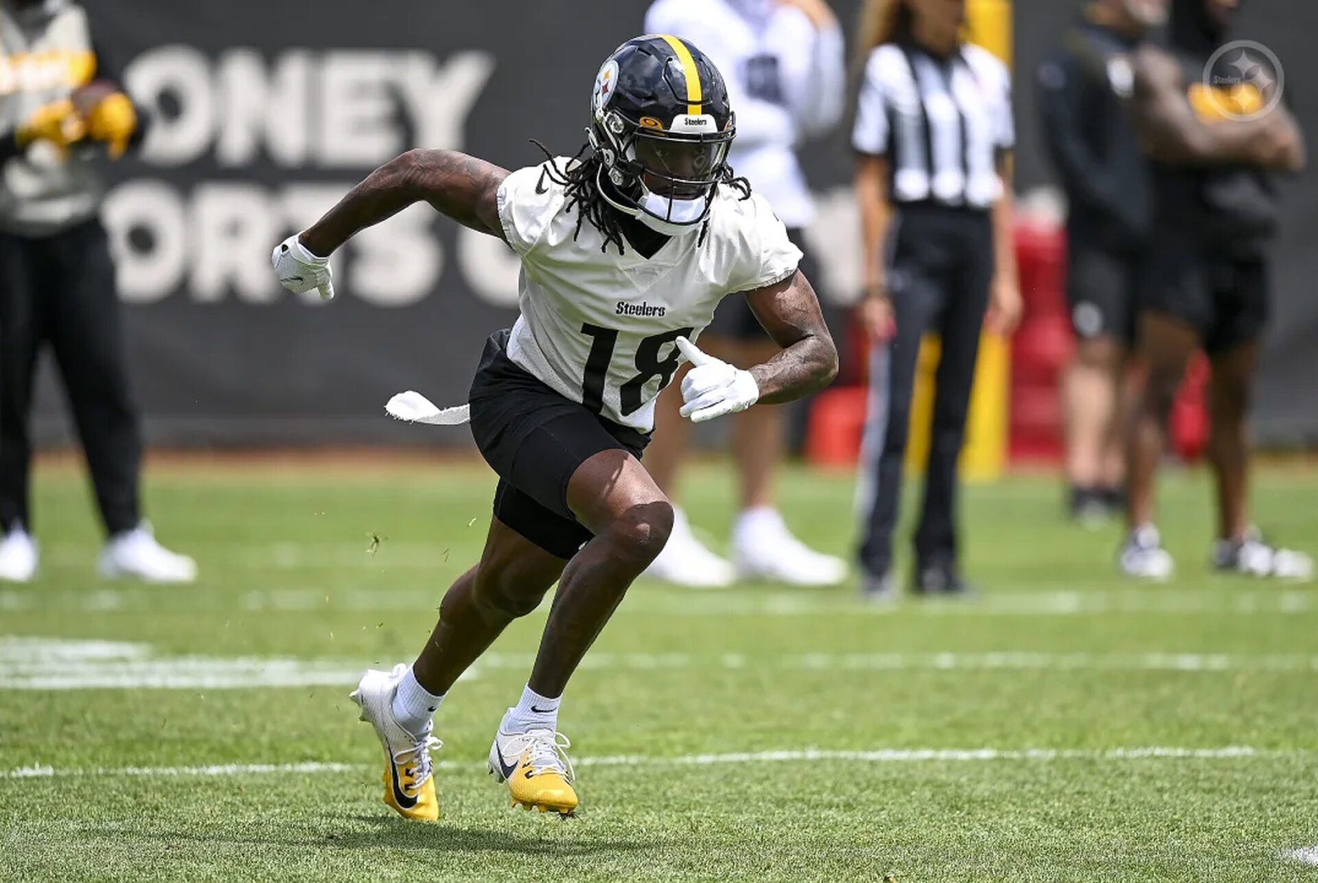 Dan Chisena of the Pittsburgh Steelers looks on during the preseason  News Photo - Getty Images