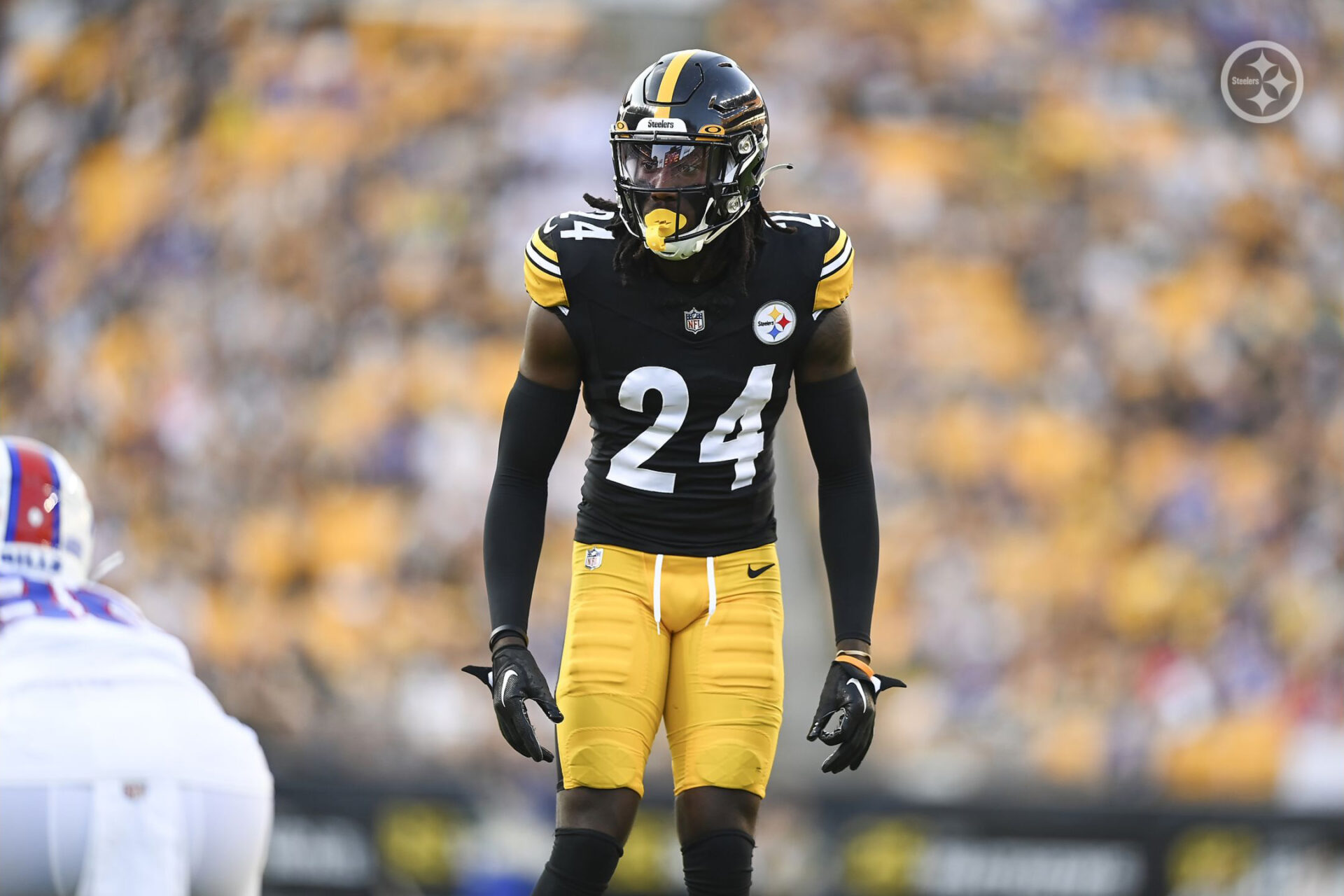 2022 Steelers Season Recall: Pittsburgh's playoff hopes end despite  convincing win over Cleveland - Steel City Underground